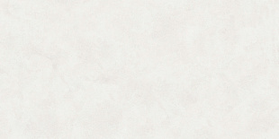 Керамогранит Buono Ceramica Emma Fiore Base Matt арт. EVL4802M (60x120) матовый